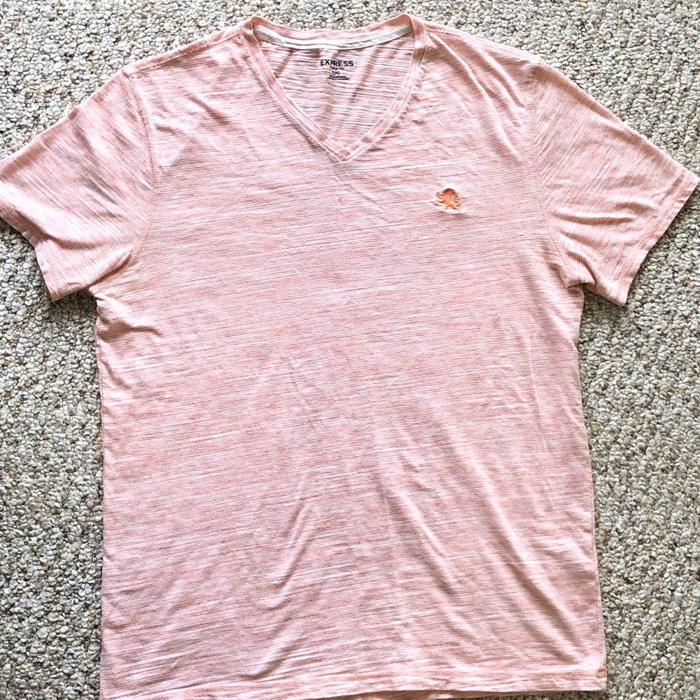 Men's Express V-neck Tee